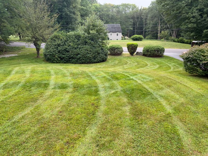 Lawn Maintenance