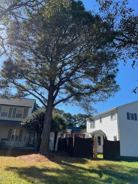 Tree Removal
