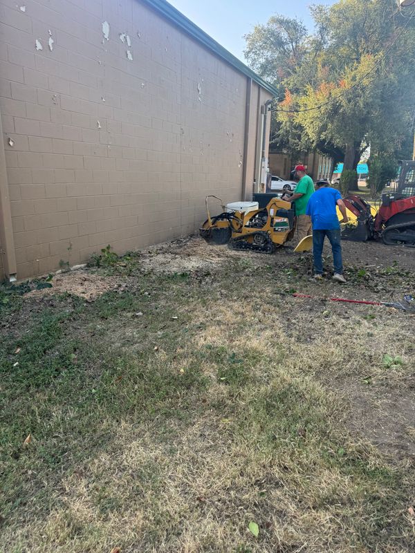 Stump Removal