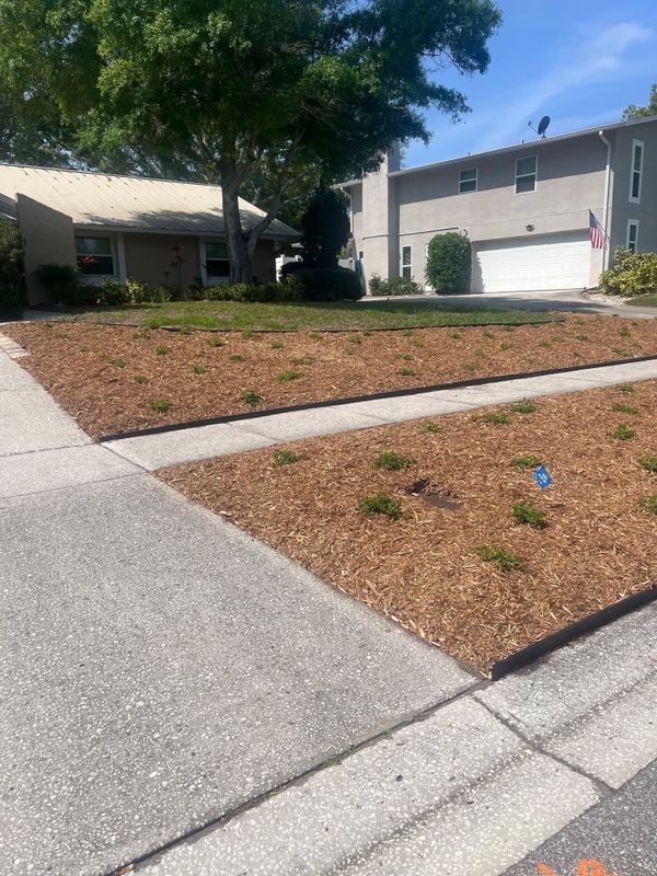Shell Mulch Installation