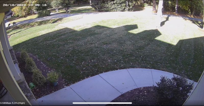 Residential Surveillance