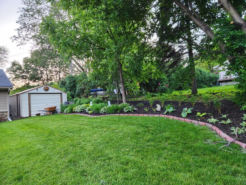 Landscaping 