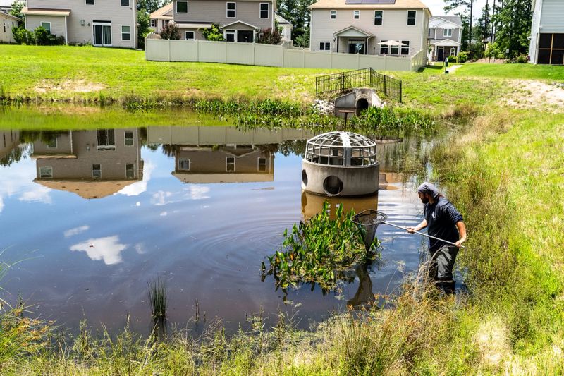 Detention Pond Maintenance