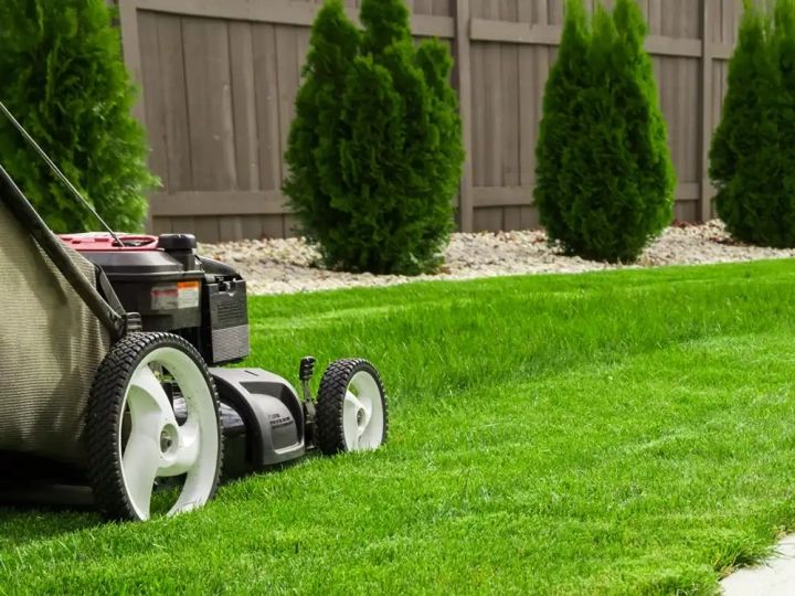 Lawn Maintenance