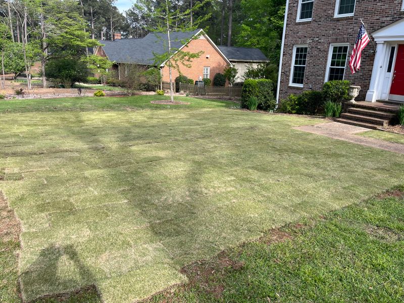 Sod & Irrigation