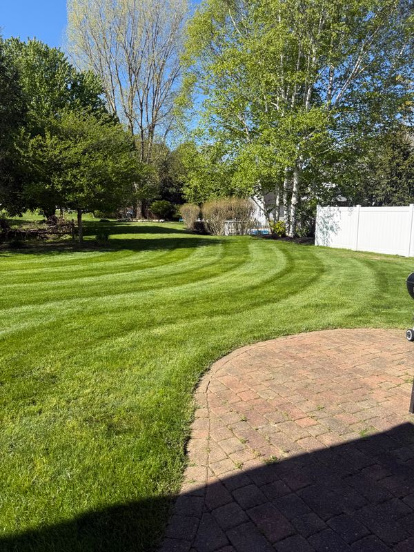 Lawn Maintenance