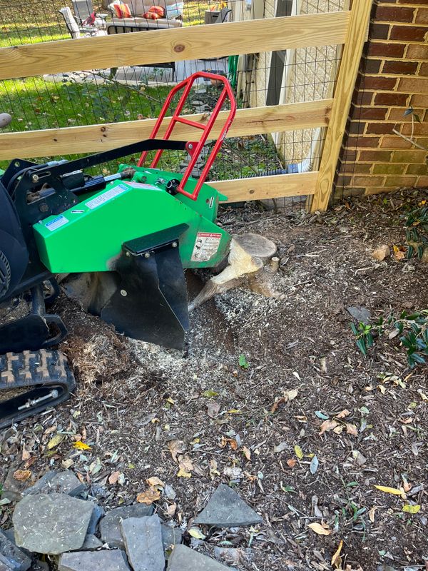 Tree Services