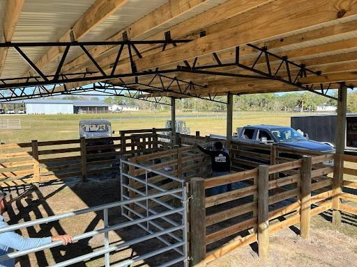 Equestrian Fencing