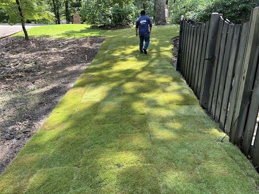 Landscape Design