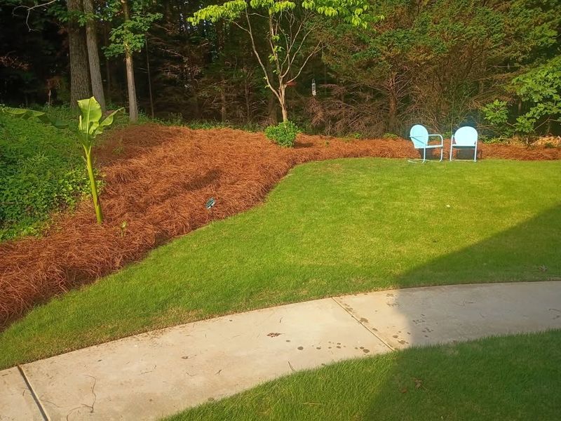 Pinestraw Installation