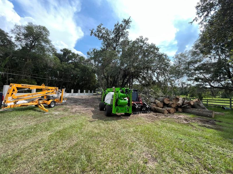 Land Clearing
