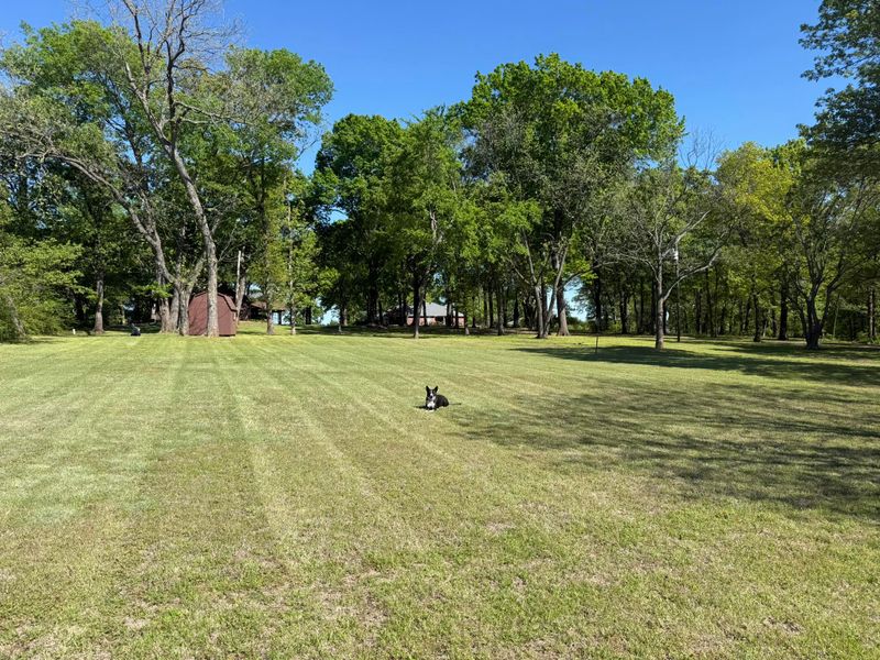 Lawn Mowing