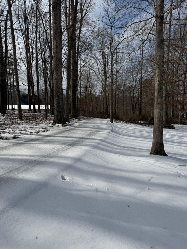 Snow Removal