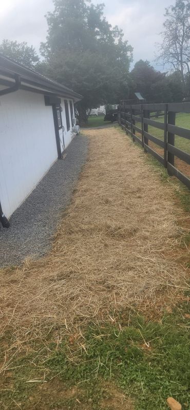 Landscaping & Hardscaping