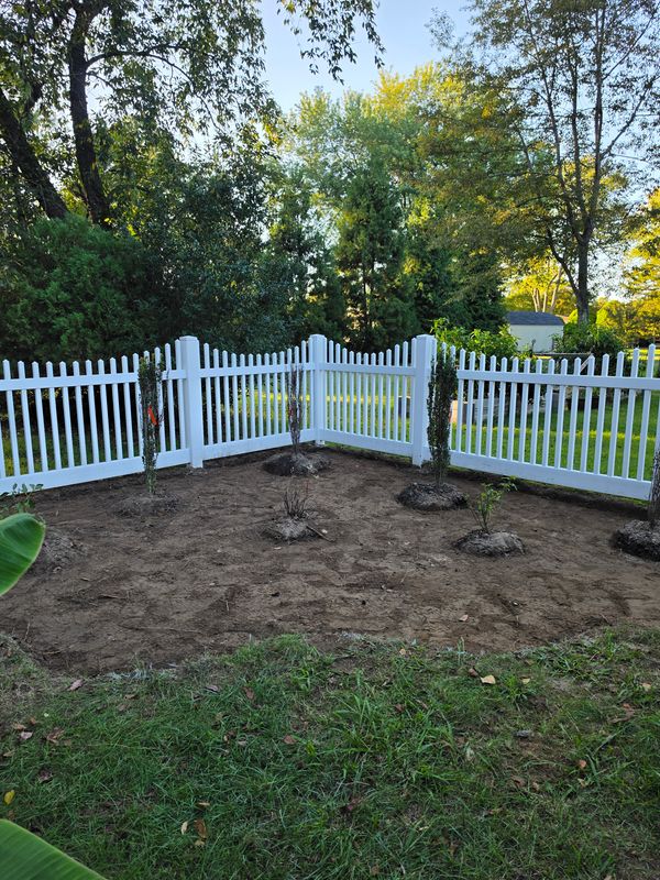 Tree & Shrub Care