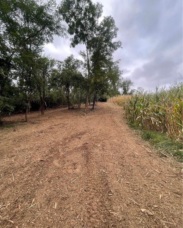 Land Clearing & Mulching