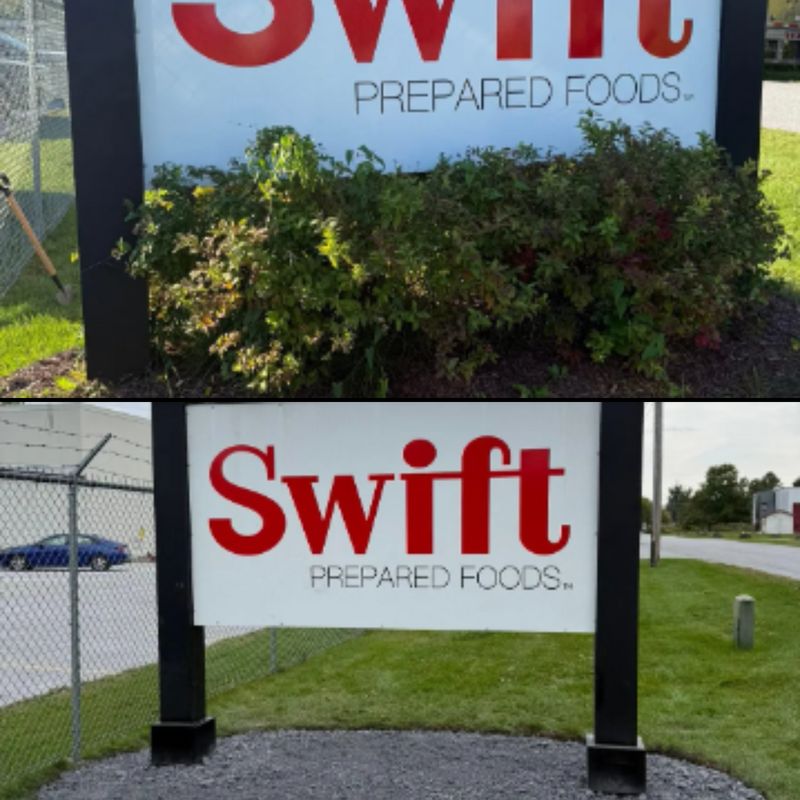 Hedge Trimming