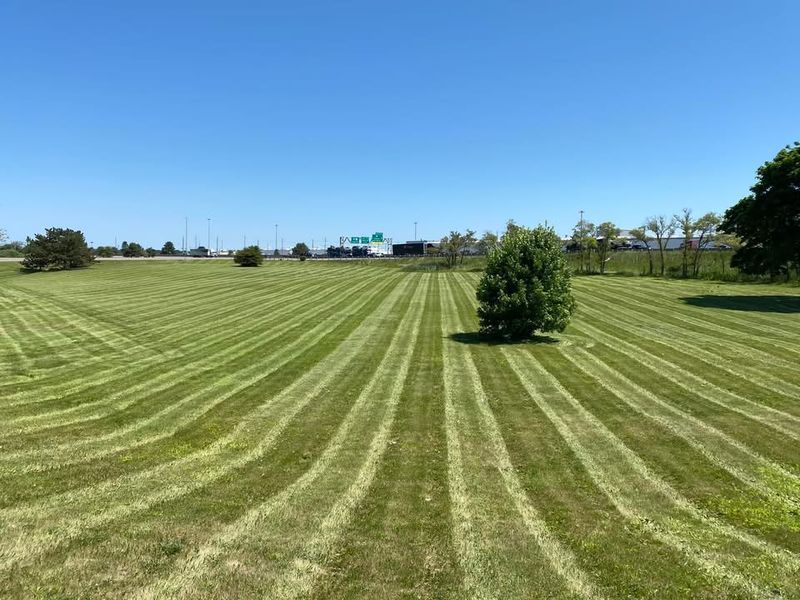 Lawn Maintenance