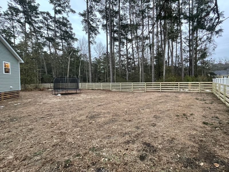 Photos