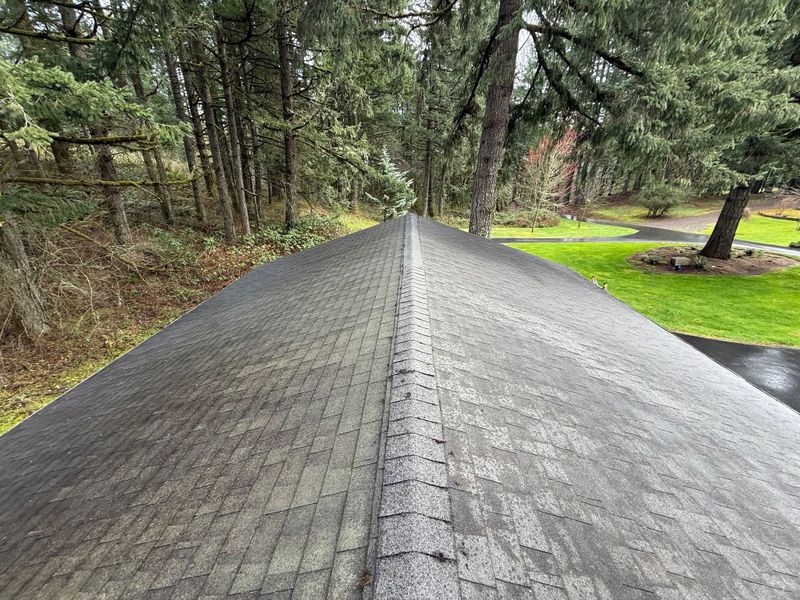 Driveway Cleaning