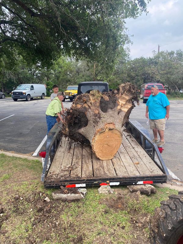 Stump Grinding gallery