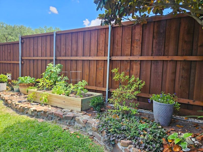 Fence Staining & Sealing