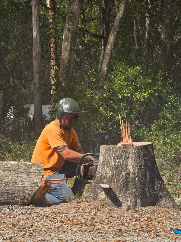 Stump Grinding