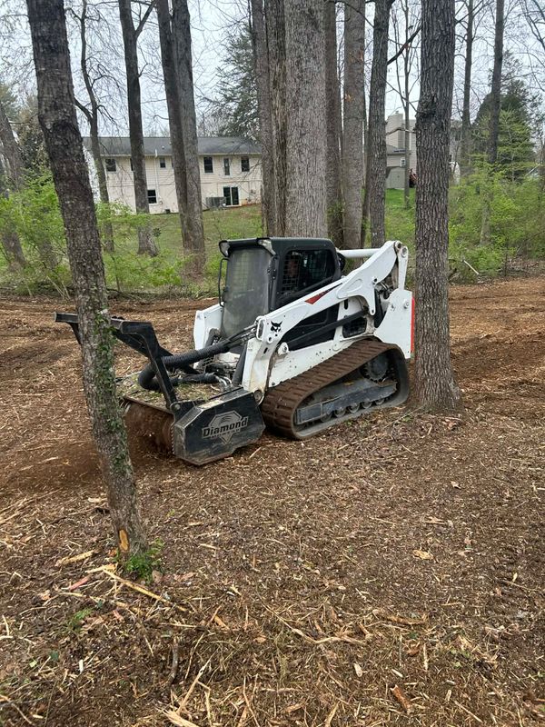 Land Clearing