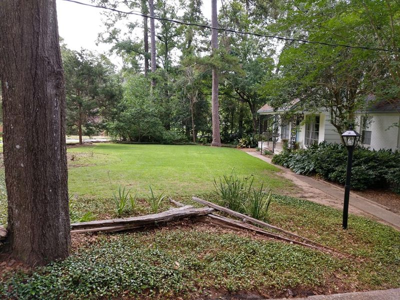 Lawn maintenance