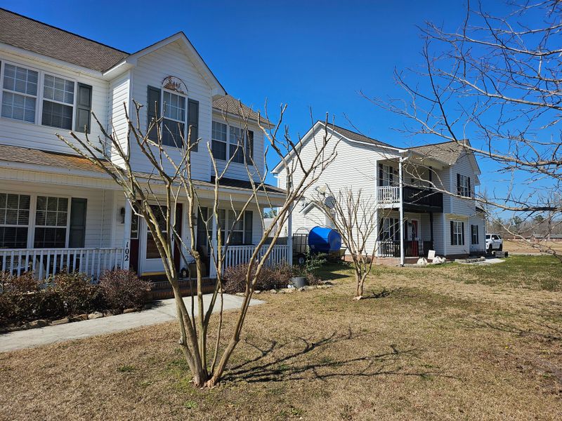 Crepe Myrtle Trimming