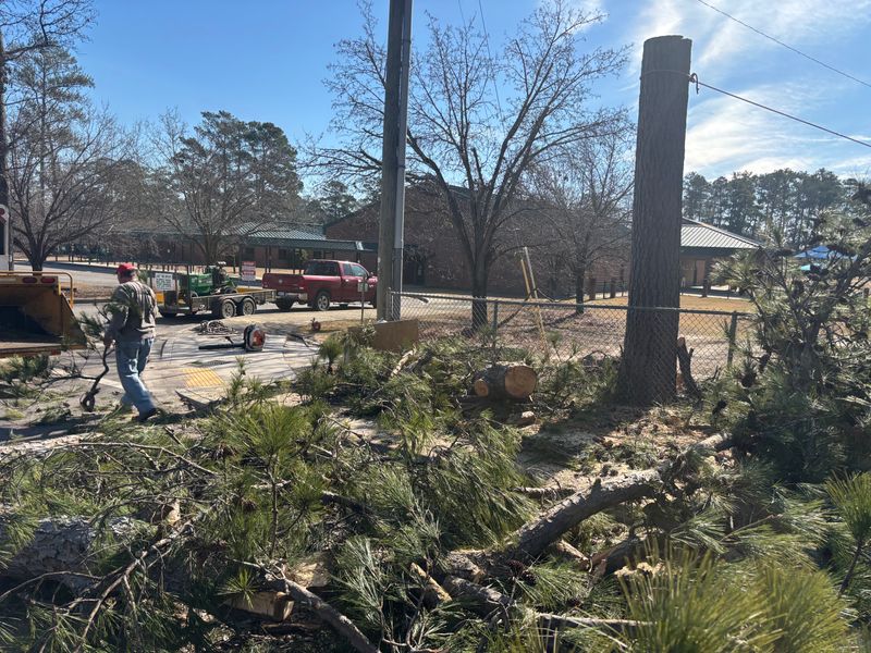 Debris Removal