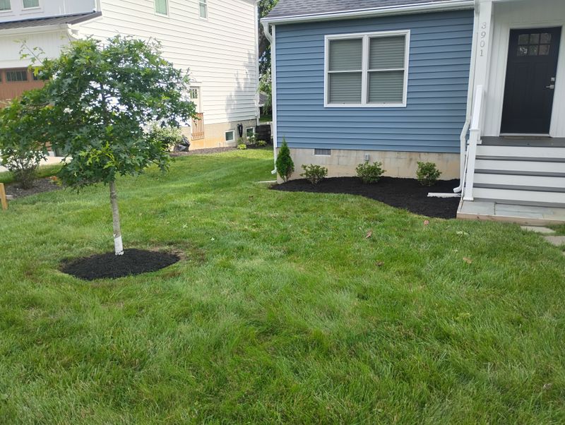 Lawn Maintenance