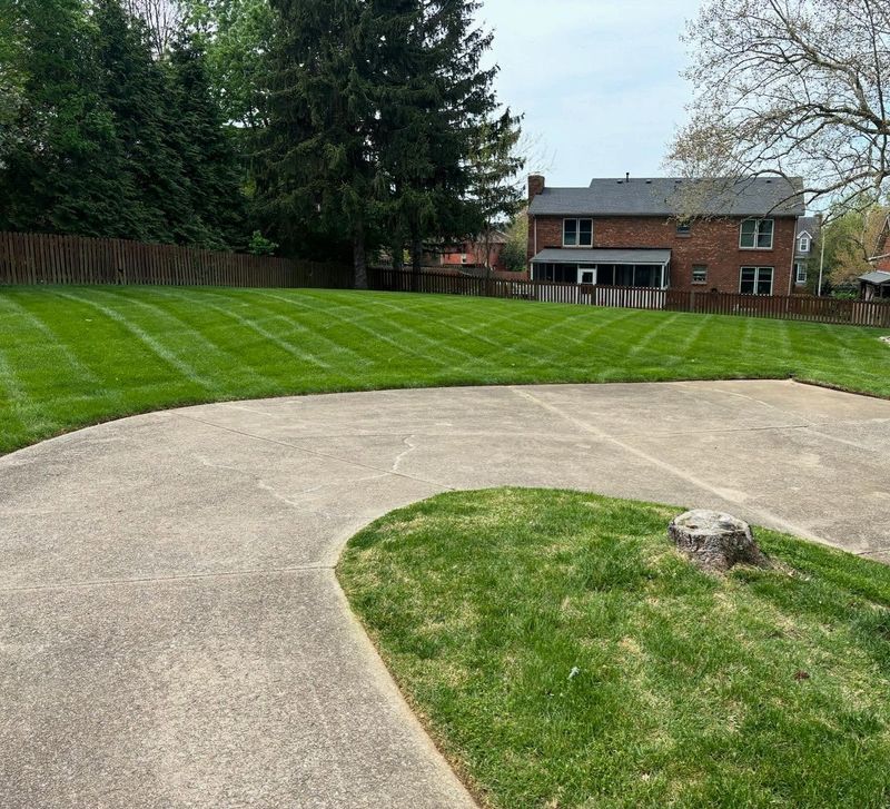 Landscaping