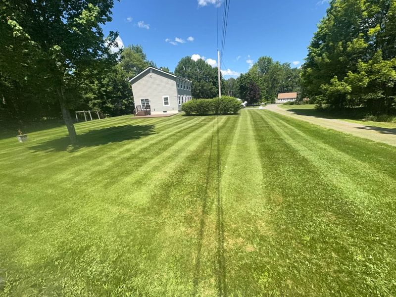 Lawn Maintenance