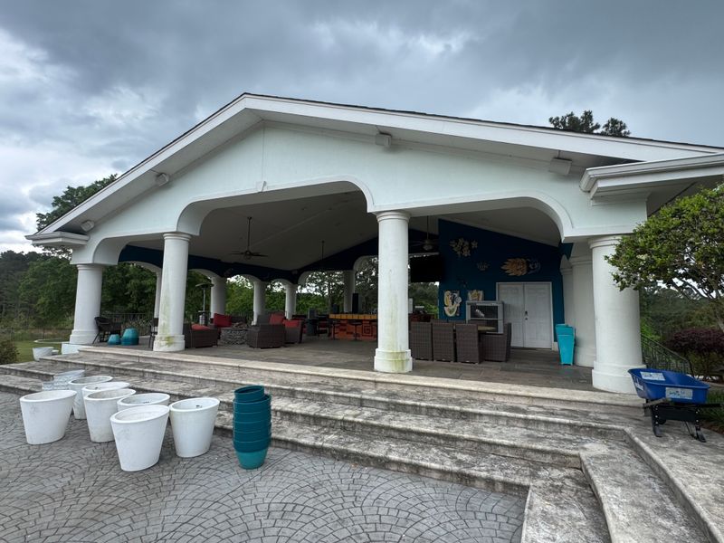 Driveway and Sidewalk Cleaning