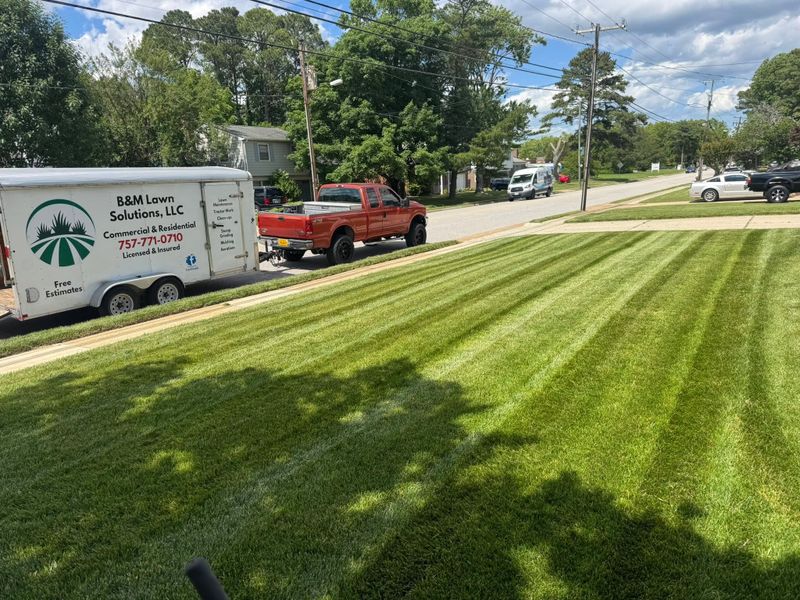 Lawn Mowing