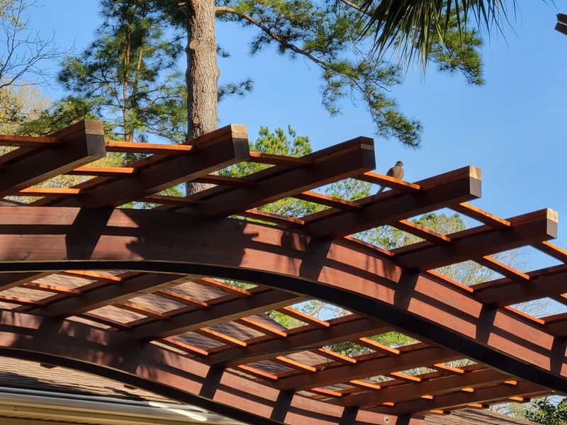 Ipe deck and trellis 