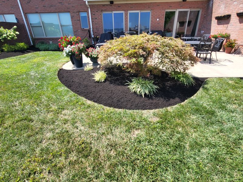 Landscaping