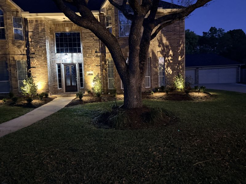 Landscape Lighting