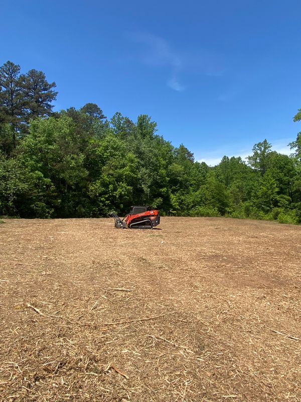 Lot Clearing