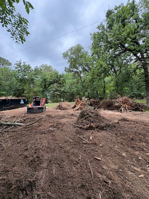Tree Removal