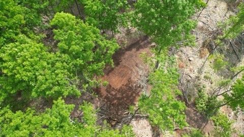 Forestry Mulching