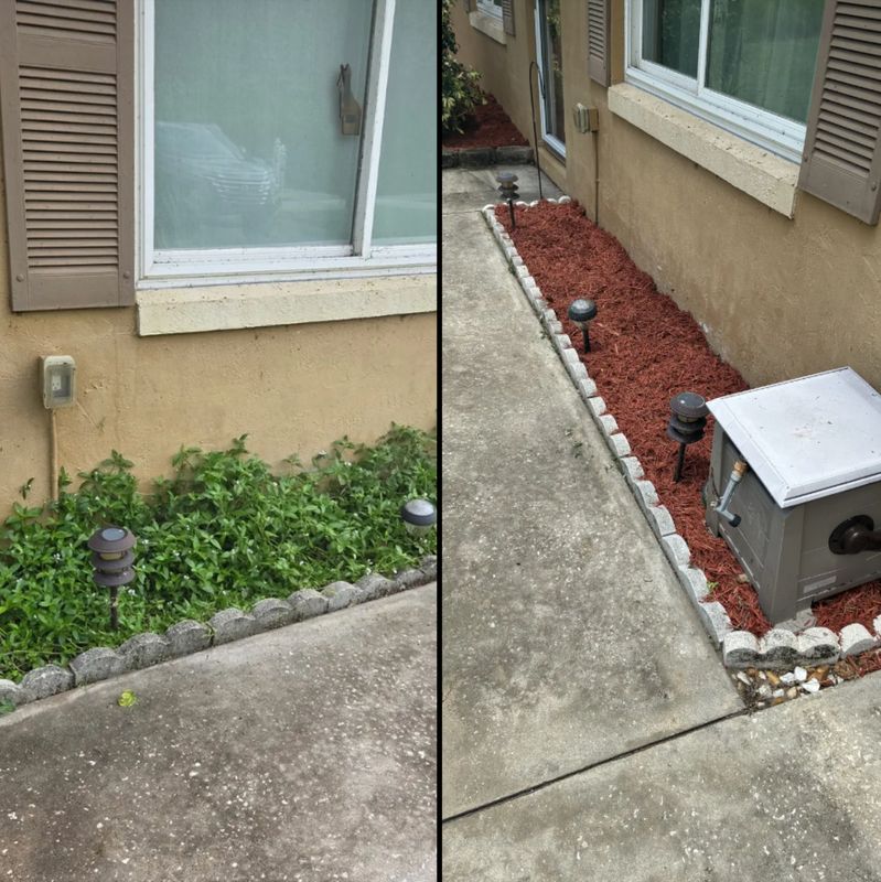 Lawn Care & Maintenance