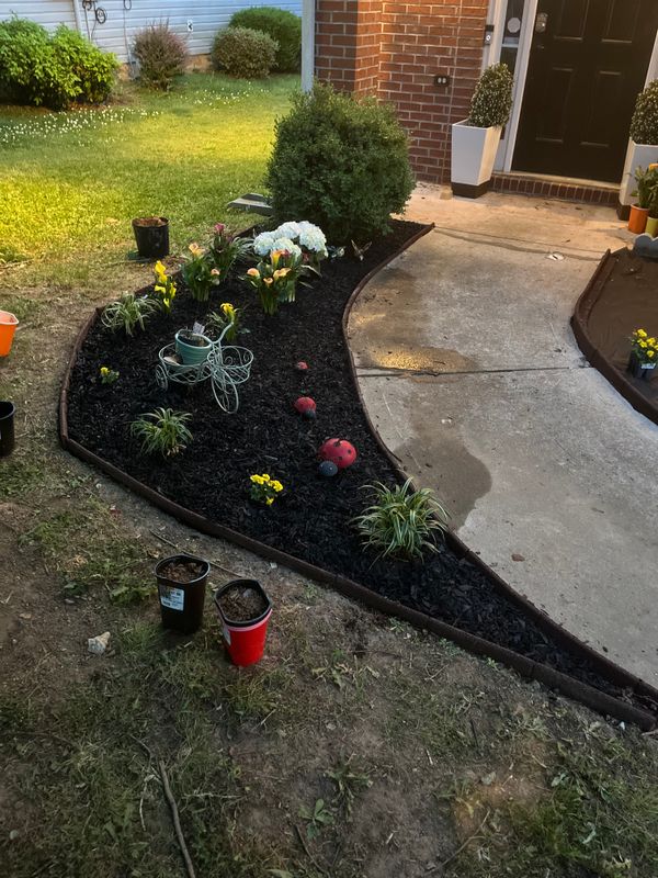 Flower Beds