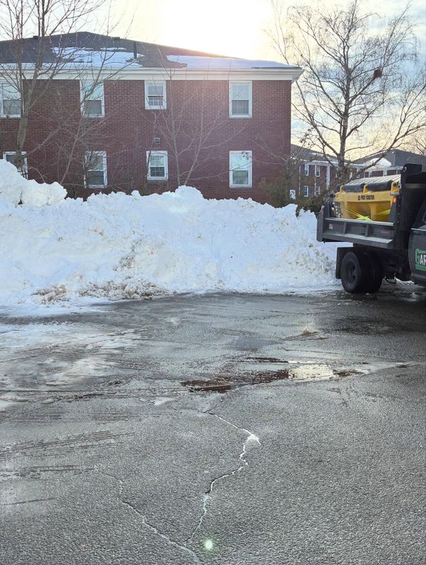 Snow Management