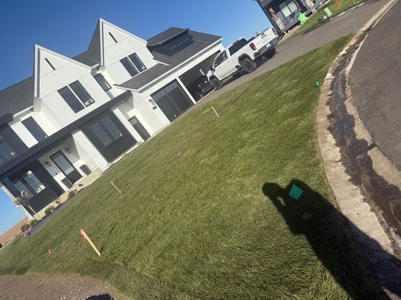 Sod Installation