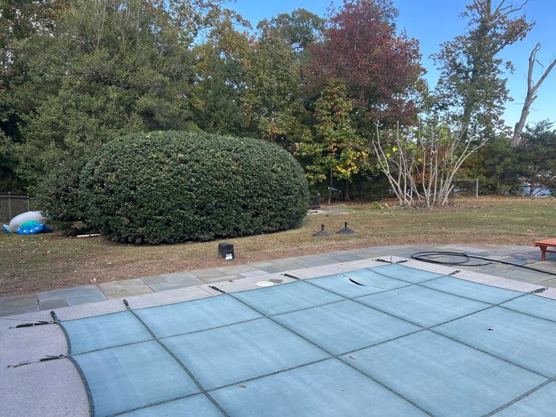 Shrub & Plant Trimming 