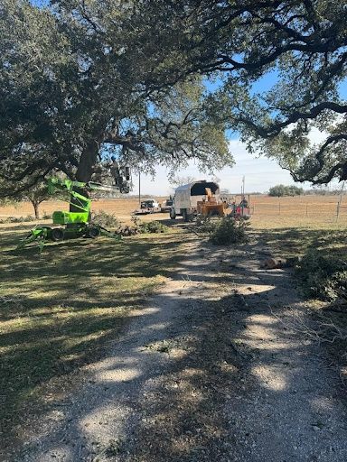Tree Removal
