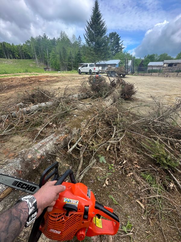 Fall Clean Up