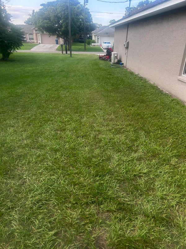 Lawn Maintenance